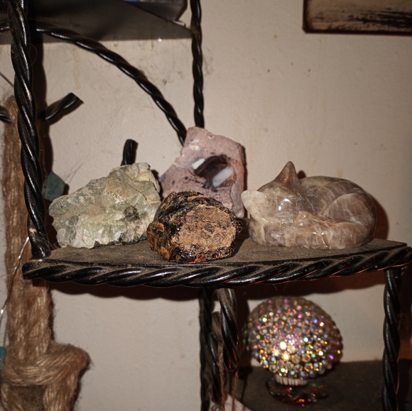 Contest - Picture 3 of 16